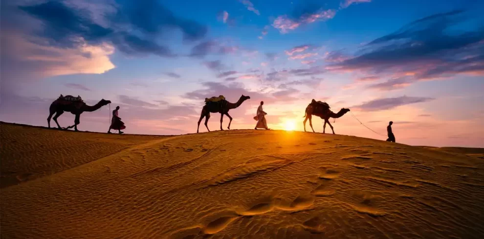 Rajasthan Desert Adventure (7D/6N)