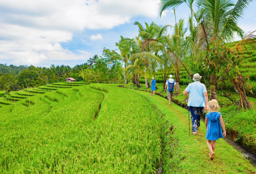 Best Bali for Adventure tour package trippit planners