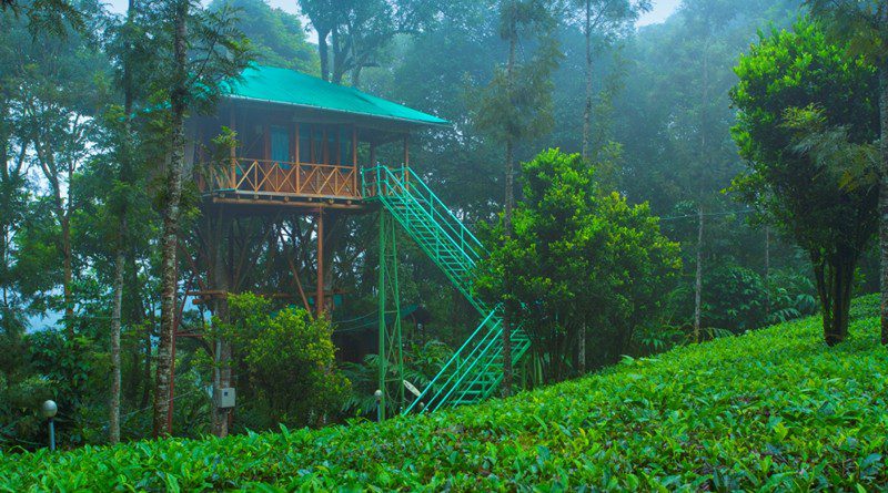 munnar-treehouse-package09-1543854151