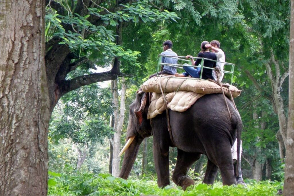 wildlife-safari-in-kerala-cost